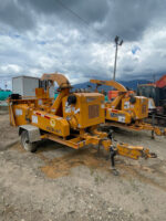RTCH-01 CHIPEADORA BANDIT 12XPC - Imagen 4